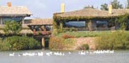 Yeguada Senillosa