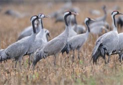 Discover Extremadura