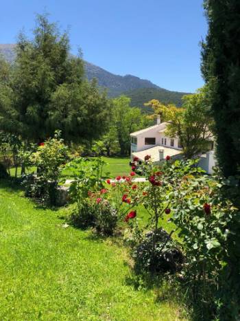 Finca La Losa