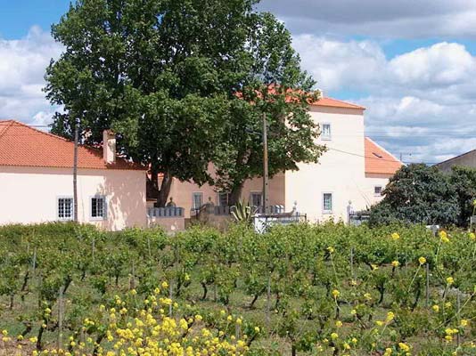 Quinta do Covanco Quinta do Covanco