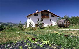 Agroturismo Kostegi