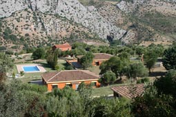 Apartamentos Cedro Alto