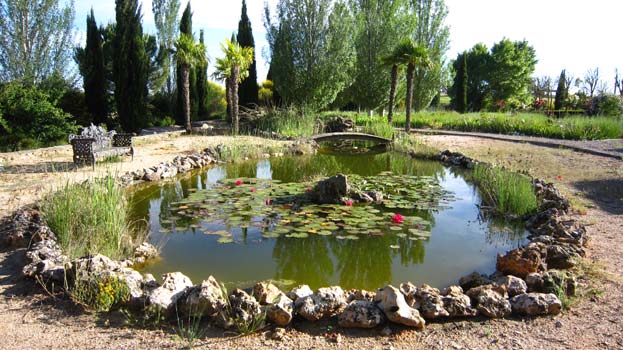 Club Ecológico Cuesta de Patas Club Ecológico Cuesta de Patas