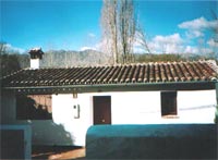 Los Chopos del Real Tesoro