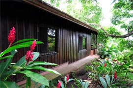 Ecovital Costa Rica