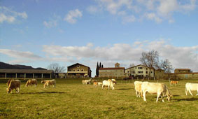 Finca La Coromina