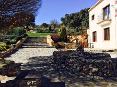 Finca Pura Vida