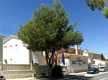 Hotel Midama