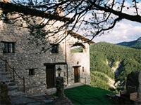 Mas Merolla