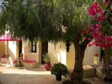 B&B O Tartufo