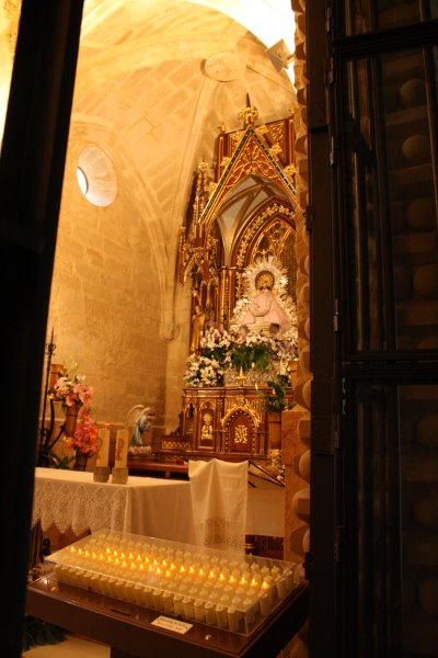  imagen de la Virgen de Guadalupe