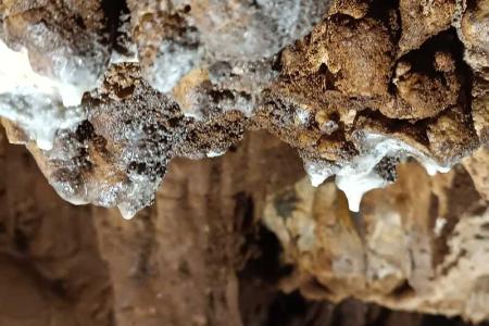 Formación Cueva Peña Arias Montano
