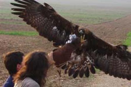 Centro de naturaleza El Ángel