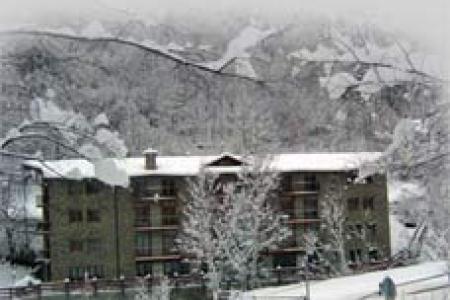 Apartamentos La Neu 2