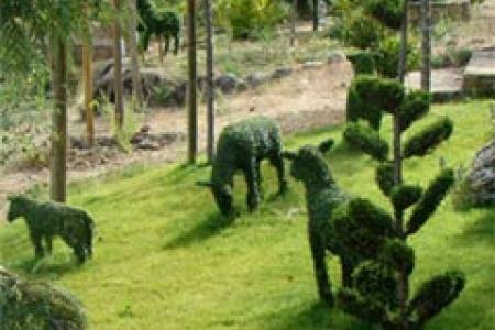 El Bosque Encantado