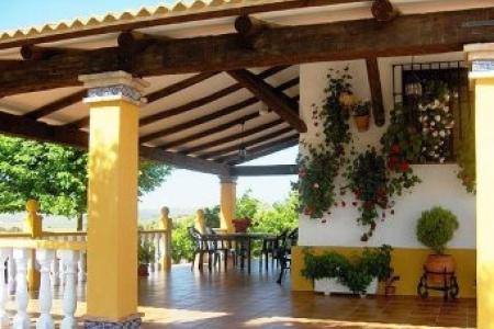 Finca Majada Alta