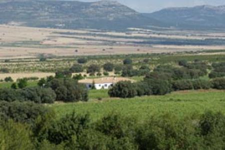 Hotel rural Finca El Romeral