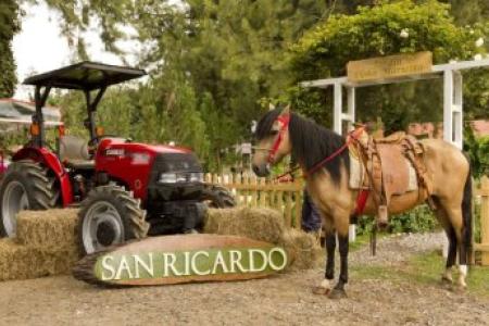 San Ricardo Farm and Lodge
