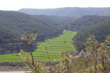 Sierra de Alcubierre
