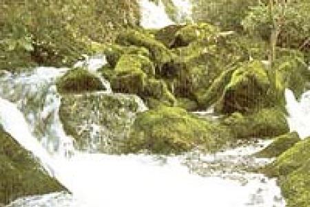 Río Cadagua. Río Cadagua.