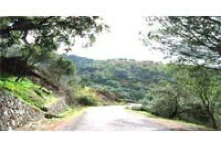 Paraje Natural Los Reales de Sierra Bermeja