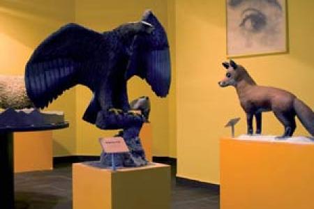 Intrerior del Museo de los Sentidos.