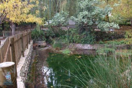 Nacimiento de Cuevas del Becerro.