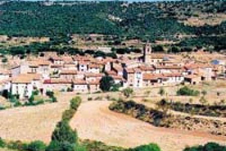 Vista general de Puebla de San Miguel.