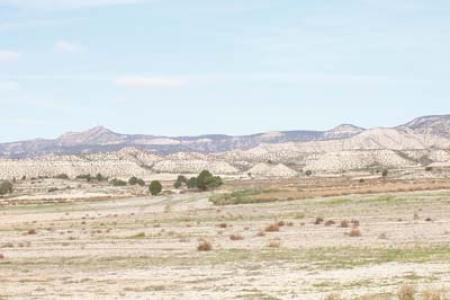 Paisaje monegrillo de Farlete