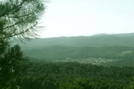 Navaleno visto desde su pinar. Navaleno visto desde su pinar.
