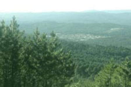 Navaleno visto desde su pinar. Navaleno visto desde su pinar.