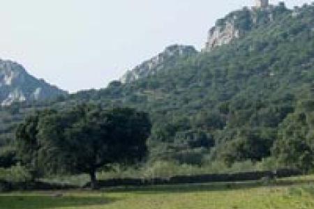 Dehesa Dehesa
