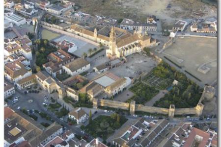 Vistas aereas de Palma del Río y su muralla.
