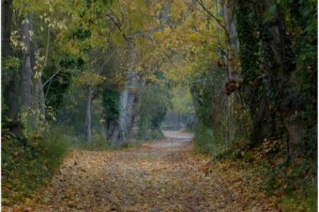 Río Dúrcal, cuenca fluvial del Valle de Lecrín.