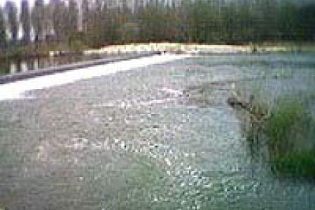 Playa fluvial a orillas del Órbigo