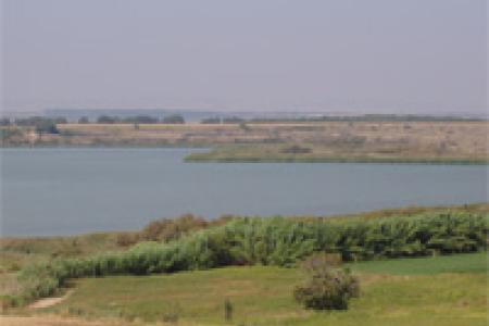 Laguna de Sariñena