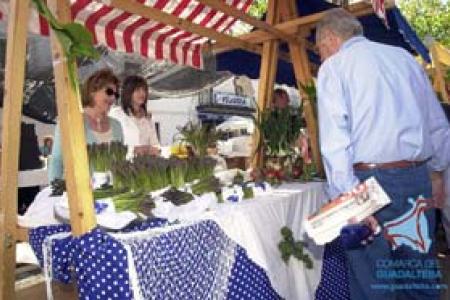 Feria del Espárrago en Sierra de Yeguas.