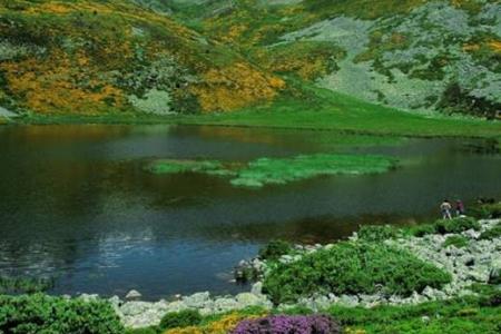 Lagunas de Cebollera.