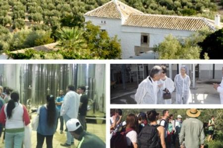 Oleoturismo Cortijo Spiritu Santo