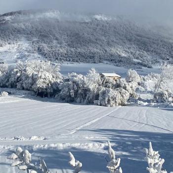 Reservas NEKATUR 2025