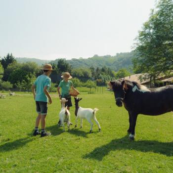 El verano de 2026 confirma la buena salud del Turismo Rural de Euskadi
