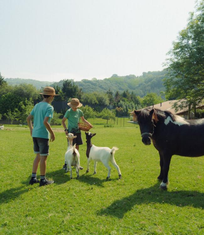 El verano de 2026 confirma la buena salud del Turismo Rural de Euskadi