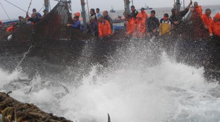 Levantá en la almadraba de Conil en 2006