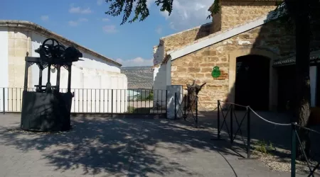 Museo de la Cultura del Olivo Hacienda La Laguna