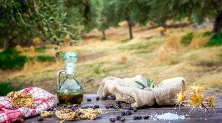 Oleoturismo // Crédito: cooperativaviver