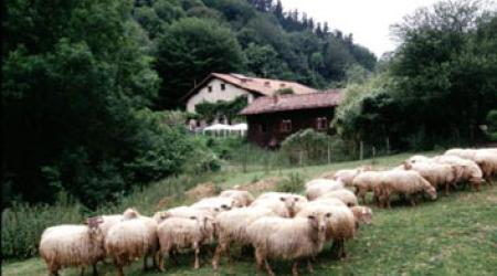 Agroturismo Arruan Haundi