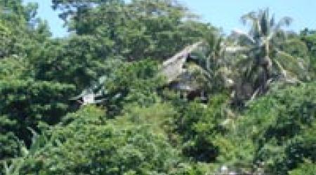 Al Vaivén de Hamacas Al Vaivén de Hamacas