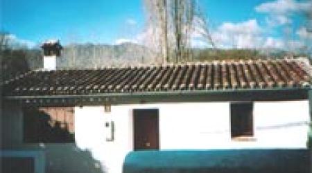 Los Chopos del Real Tesoro