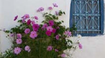 La ferme de Lalla Abouch