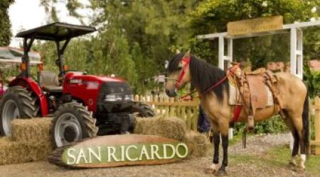 San Ricardo Farm and Lodge